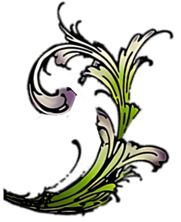 unnamed image